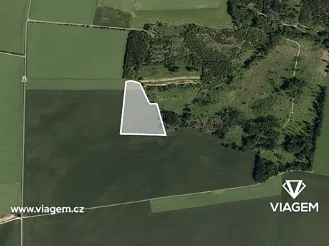 Prodej podílu pole, Štěpkov, 1184 m2