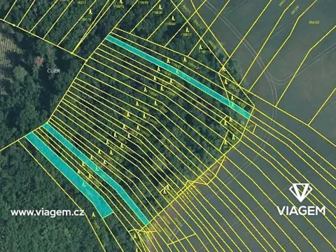 Prodej lesa, Silůvky, 1247 m2
