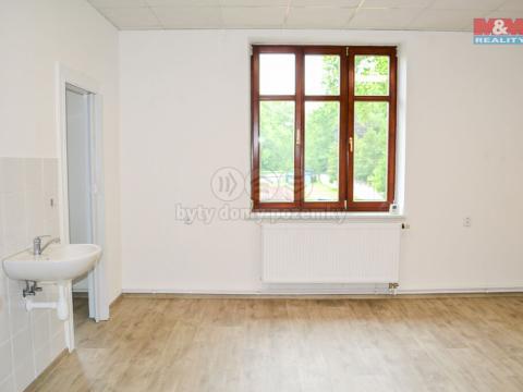 Pronájem kanceláře, Ostrava - Vítkovice, Lidická, 23 m2