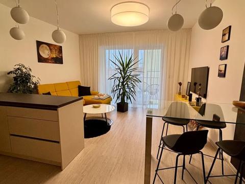 Pronájem bytu 2+kk, Brno, Metodějova, 57 m2