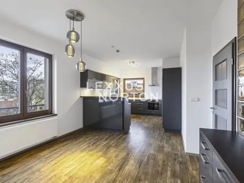 Pronájem bytu 3+1, Praha - Podolí, Lopatecká, 155 m2