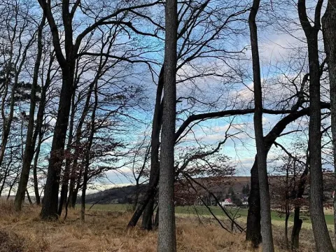 Prodej pozemku, Milešovice, 3717 m2