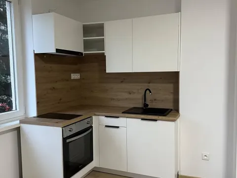 Pronájem bytu 1+kk, Ostrava, Bajkalská, 25 m2