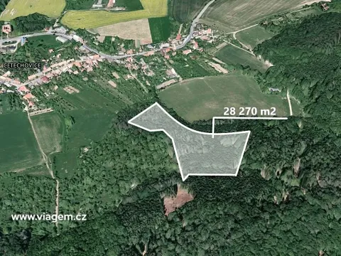 Prodej podílu lesa, Cetechovice, 1478 m2