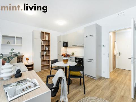 Pronájem bytu 1+kk, Praha - Vysočany, Odkolkova, 102 m2