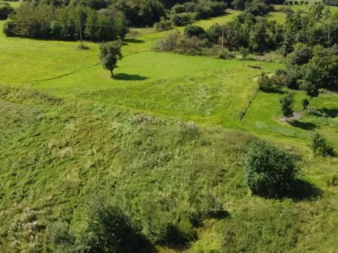 Dražba louky, Žlutice, 4670 m2