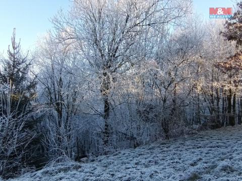 Prodej louky, Rychnov nad Kněžnou, 2141 m2