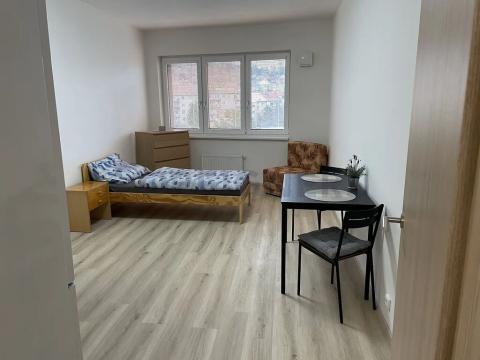 Pronájem bytu 1+kk, Brno, Gajdošova, 31 m2