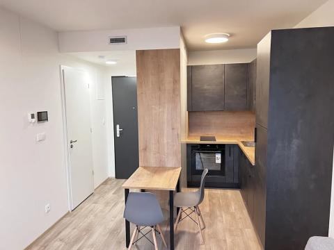 Pronájem bytu 1+kk, Praha - Smíchov, Plzeňská, 22 m2