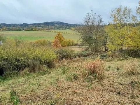 Dražba pozemku, Bušanovice, 4183 m2