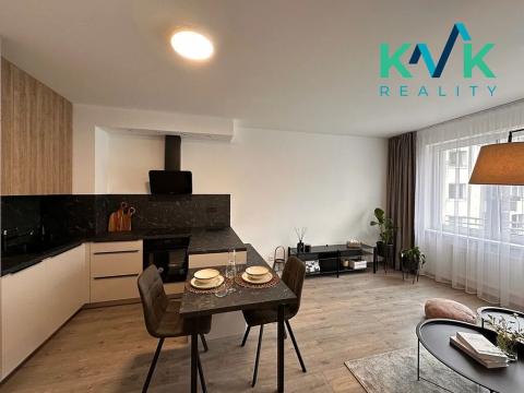 Pronájem bytu 2+kk, Ostrov, Lidická, 43 m2