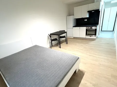 Pronájem bytu 1+kk, Praha - Nusle, Na bitevní pláni, 27 m2