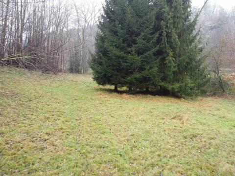 Dražba louky, Světlá nad Sázavou, 8621 m2