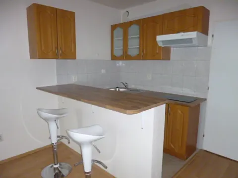 Pronájem bytu 1+kk, Praha - Krč, Štúrova, 28 m2