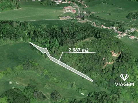 Prodej podílu lesa, Česká Kamenice, 1343 m2