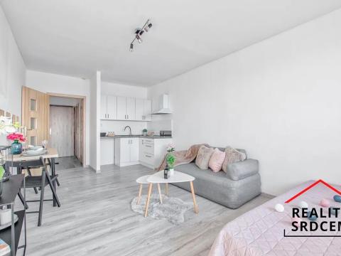 Pronájem bytu 1+kk, Karviná, tř. 17. listopadu, 25 m2