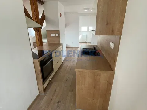 Pronájem bytu 2+kk, České Budějovice, Hradební, 57 m2