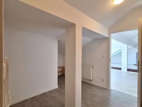 Pronájem bytu 1+kk, Praha - Bubeneč, U zeměpisného ústavu, 34 m2