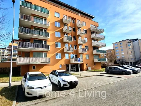 Pronájem bytu 2+kk, Brno, Dusíkova, 159 m2