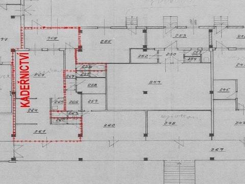 Prodej obchodního prostoru, Chomutov, Školní pěšina, 100 m2