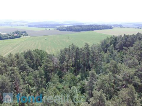 Prodej lesa, Šebířov - Křekovice, 3299 m2