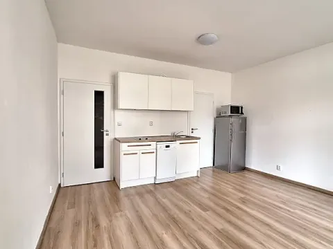 Pronájem bytu 1+kk, Praha - Bubeneč, U zeměpisného ústavu, 26 m2