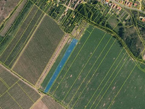 Prodej pole, Znojmo, 7141 m2