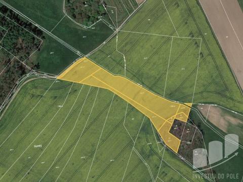 Prodej pole, Týnec nad Labem - Vinařice, 7567 m2