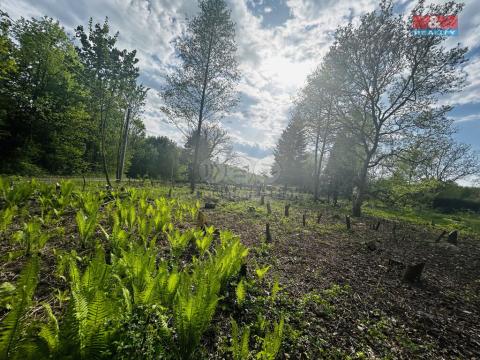 Prodej pozemku pro bydlení, Orlová, Bezručova, 830 m2