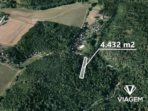 Prodej lesa, Opava, 4432 m2