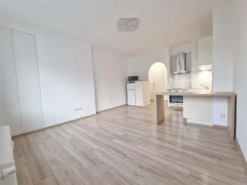 Pronájem bytu 1+kk, Praha - Holešovice, Jankovcova, 30 m2