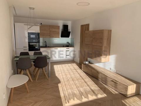 Pronájem bytu 2+kk, Brno, Čápkova, 52 m2
