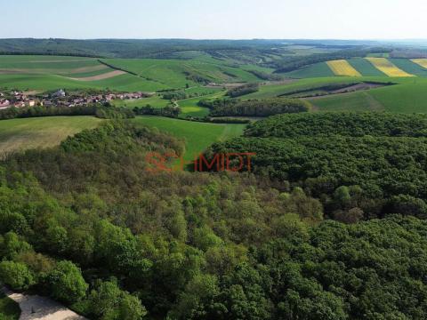 Prodej lesa, Velké Hostěrádky, 846 m2