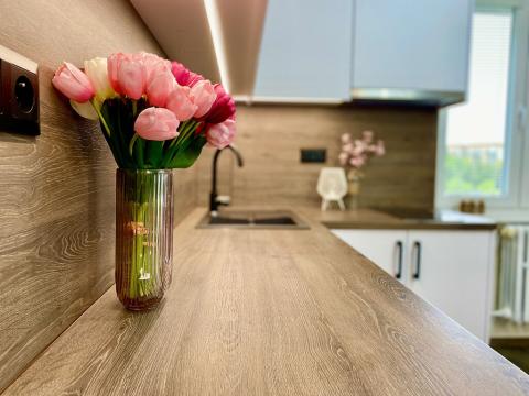 Pronájem bytu 2+kk, Roztoky, Braunerova, 60 m2