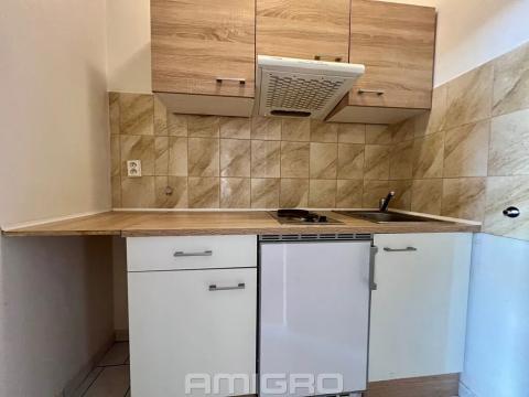 Pronájem bytu 1+kk, Brno, Pekařská, 30 m2