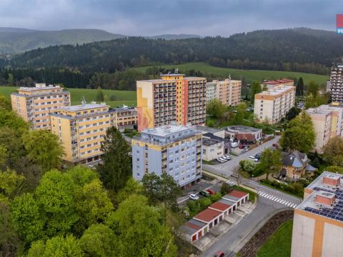 Pronájem bytu 3+kk, Liberec - Liberec XXX-Vratislavice nad Nisou, Nad Školou, 59 m2