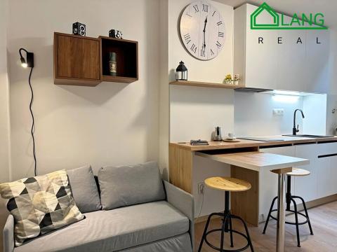 Pronájem bytu 1+kk, Brno, Koliště, 28 m2
