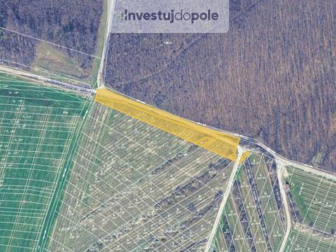 Prodej pozemku, Dambořice, 2843 m2