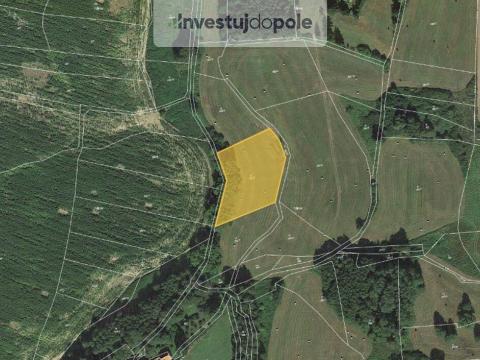 Prodej pole, Neurazy - Soběsuky, 4301 m2
