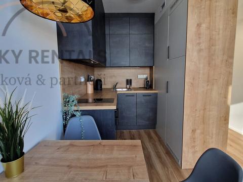 Pronájem bytu 2+kk, Praha - Smíchov, Plzeňská, 40 m2