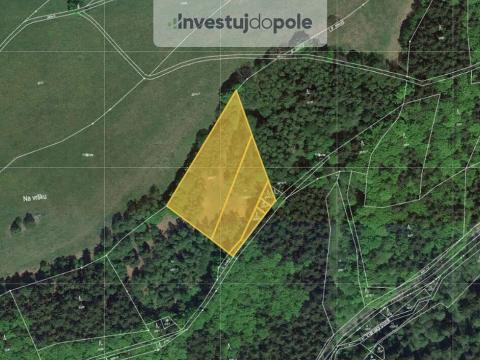 Prodej pole, Jablonec nad Jizerou - Vojtěšice, 12355 m2