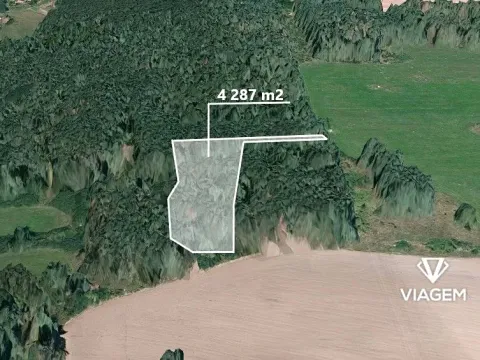 Prodej lesa, Svatý Jan, 4173 m2
