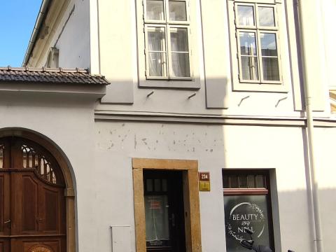 Pronájem kanceláře, Nový Jičín, Žerotínova, 18 m2