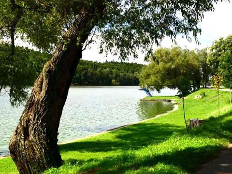 Prodej chaty, Jedovnice, 48 m2