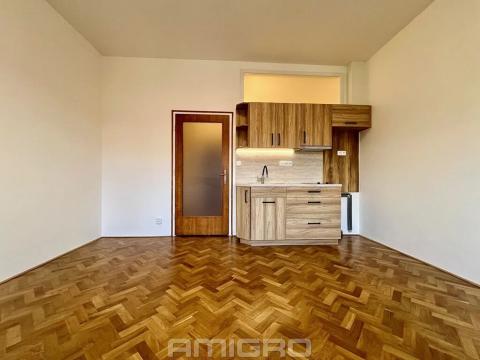 Pronájem bytu 1+kk, Brno, Kotlářská, 26 m2