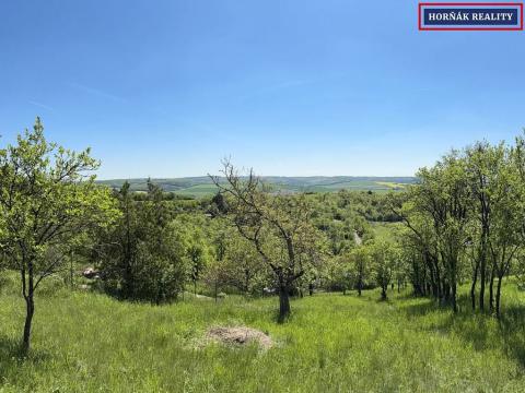 Prodej zahrady, Bučovice, Jižní svahy, 1723 m2