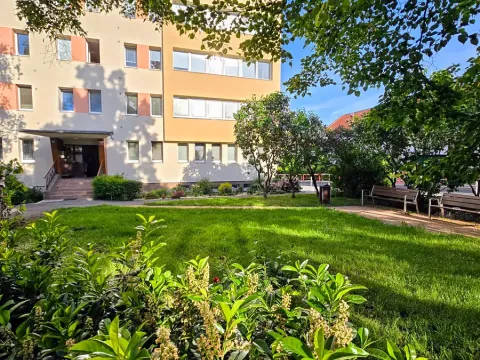 Prodej bytu 1+kk, Praha - Braník, Branická, 20 m2
