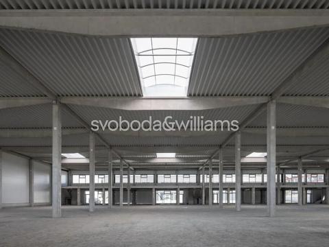 Pronájem výrobních prostor, Brno, Trnkova, 8823 m2