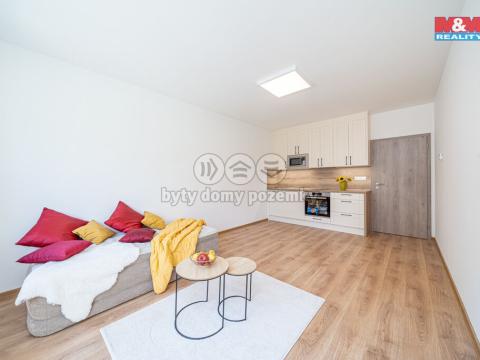 Pronájem bytu 1+kk, Olomouc, Frištenského, 34 m2