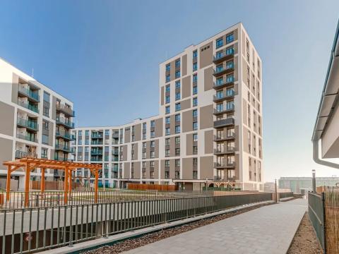 Pronájem bytu 1+kk, Praha - Žižkov, Olgy Havlové, 35 m2